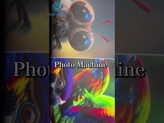 Macchina a base d'acqua di Logo Digital Colour Photo Printing della stampante di ampio formato