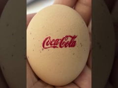 Stampatore UV Maximum Width di millimetro DTF di altezza 1062 620 millimetri di inchiostro Jet Printer di Digital